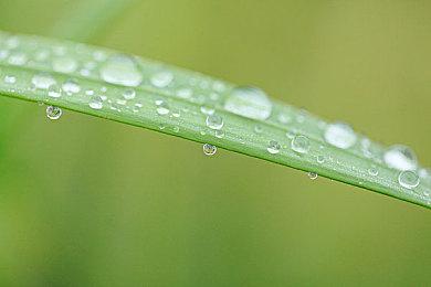 可爱女主 像素惊悚解谜游戏《腐朽之馆》试玩Demo上线